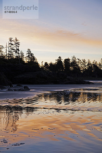 Strand  Sonnenaufgang  lang  langes  langer  lange  Zimmer  Tofino  British Columbia  British Columbia  Kanada  Westküste