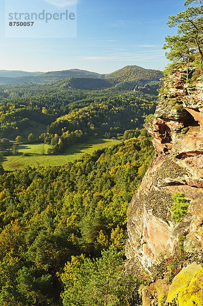 Deutschland  Rheinland-Pfalz