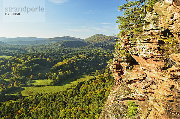 Deutschland  Rheinland-Pfalz