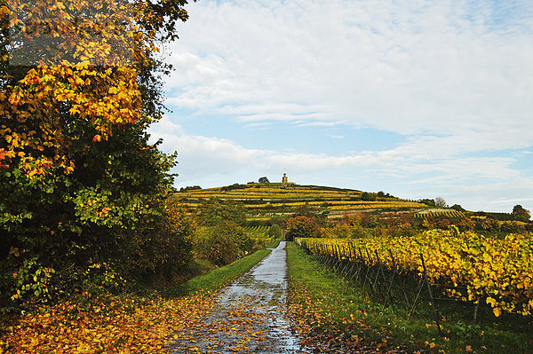 Deutschland  Rheinland-Pfalz