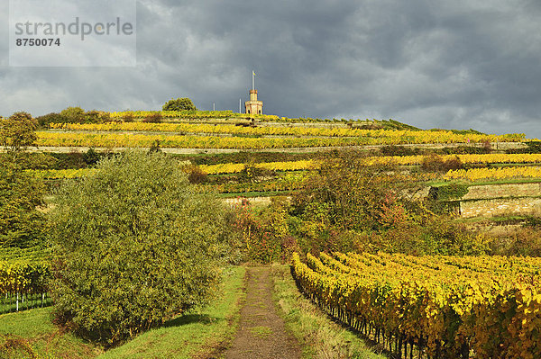 Deutschland  Rheinland-Pfalz