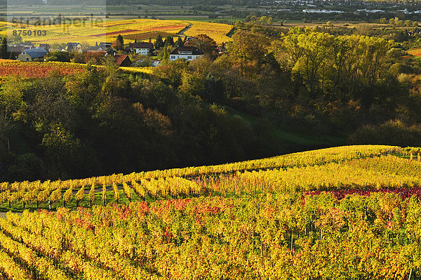 Baden-Württemberg  Deutschland