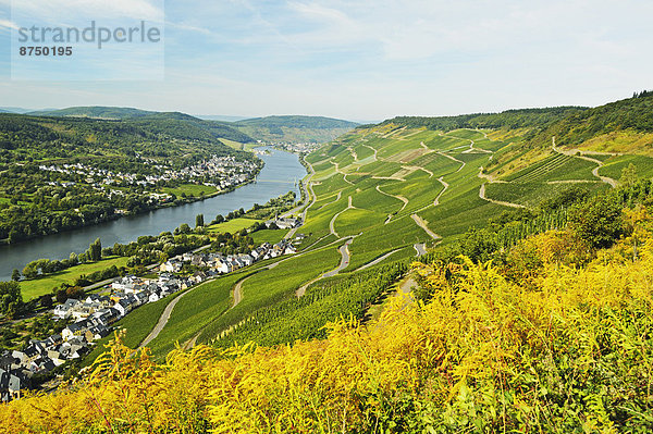 Deutschland  Rheinland-Pfalz