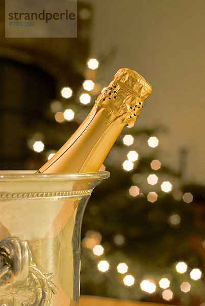 Flasche Champagner in Kühler mit Weihnachtsbaum im Hintergrund