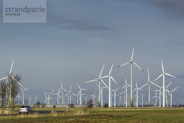 Windturbine Windrad Windräder Landschaft Dithmarschen Deutschland Schleswig Holstein
