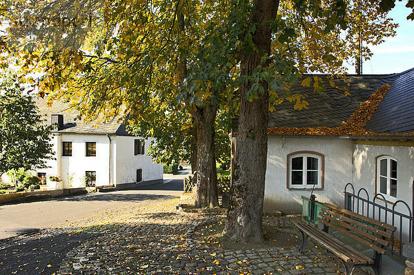 Dhronecken  Rheinland-Pfalz  Deutschland