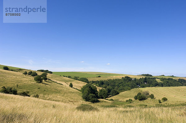 Landschaft im westlichen Hunsrück  Rheinland-Pfalz  Deutschland