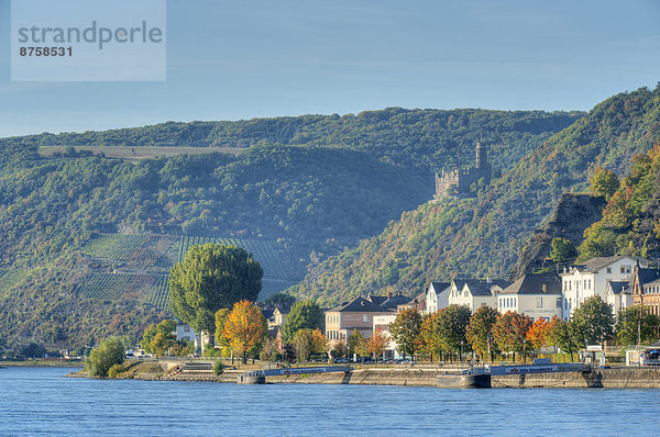 River Rhine with Maus Castle  Rhineland-Palatinate  Germany