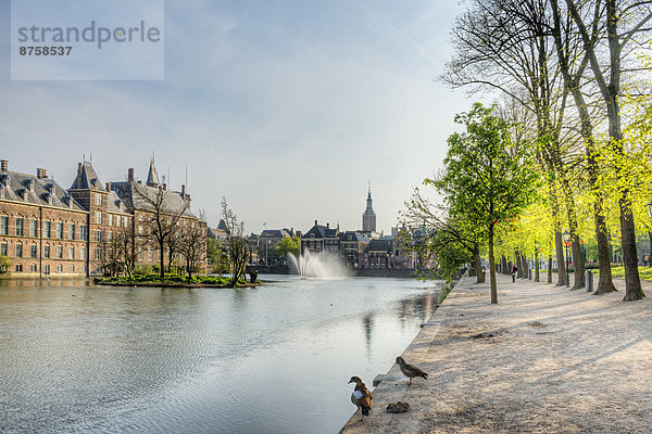 Binnenhof  Den Haag  Niederlande