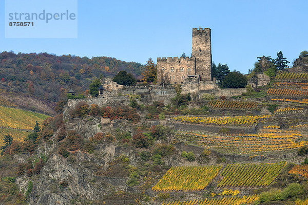 Gutenfels Castle  Rhineland-Palatinate  Germany