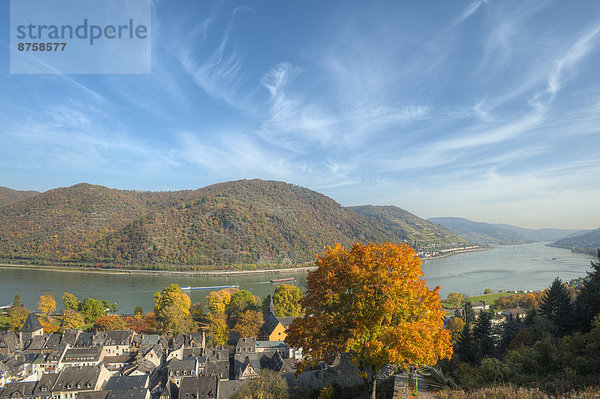 Bacharach mit Rhein  Rheinland-Pfalz  Deutschland