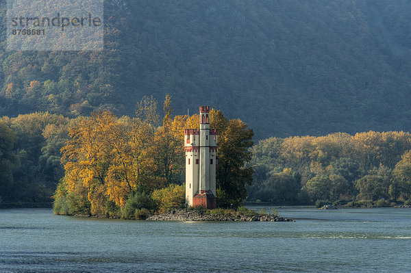 River Rhine with Mouse Tower near Bingen  Rhineland-Palatinate  Germany