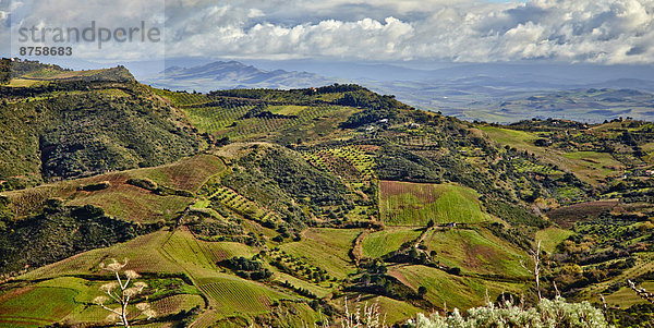 Hügellandschaft bei Segesta  Sizilien  Italien