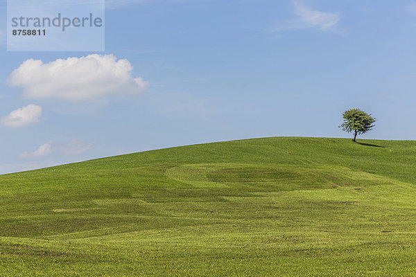 agricultural agriculture Allgaeu Bavaria cultural landscape daytime Germany Halblech landscape meadow nature nobody outdoors Single Tree tree