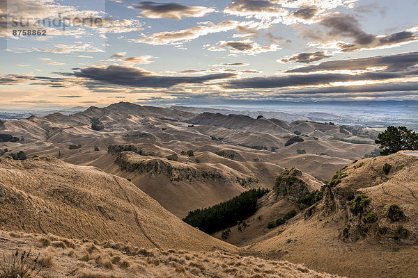 afterglow atmospheric clouds cloudy sky evening evening atmosphere evening sky Hastings hills hilly hilly landscape landscape mood mountain landscape mountains mountains nature New Zealand nobody North Island outdoors Te Mata Peak travel photography