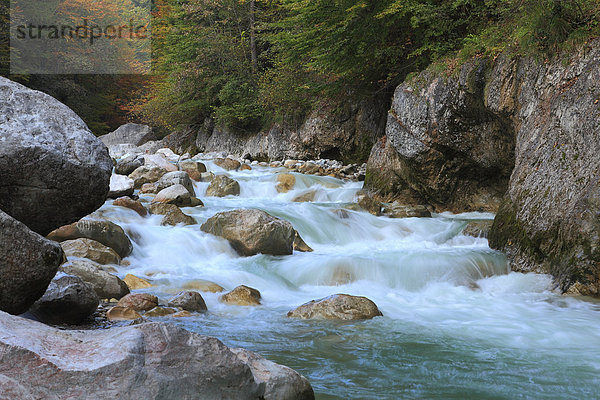 Austria autumn autumnal canyon daytime flow gorge landscape nature nobody outdoors river rocks rocky stones Tyrol water current waters