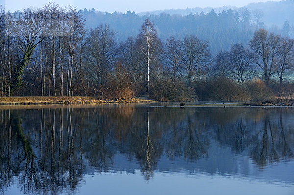 atmospheric break of dawn Canton of Aargau ecological conservation Flachsee lake mirrored mood morning nature nature reserve nobody outdoors reflect reflect reflection Rottenschwil Switzerland travel photography water reflection wild animal wildlife
