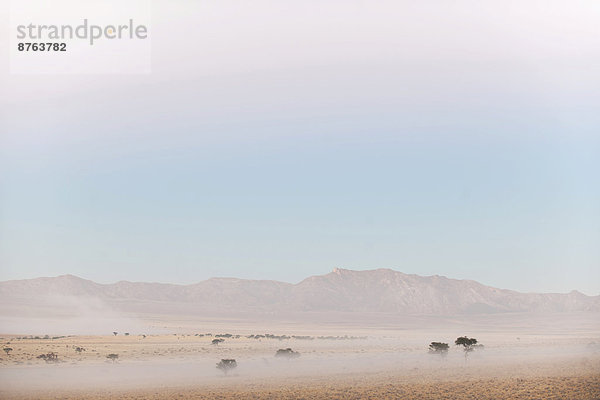 Morgennebel über der Namibwüste  Aus  ?Karas  Namibia