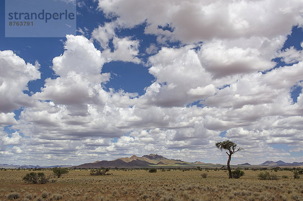 Berge in der Namibwüste  Betta  Hardap  Namibia