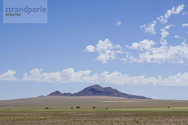 Der Bushmann Hill in der Namibwüste  Betta  Hardap  Namibia