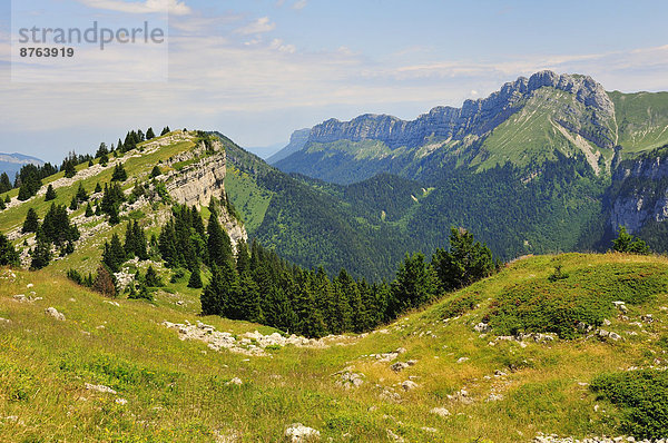 Ausblick vom Gebirgspass Col des Ayes auf die umliegenden Berge  Gebirgsmassiv Chartreuse  Département Isère  Rhône-Alpes  Frankreich