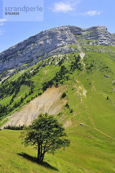 Ausblick vom Gebirgspass Col des Ayes auf den Berg Dent de Crolles  Gebirgsmassiv Chartreuse  Département Isère  Rhône-Alpes  Frankreich