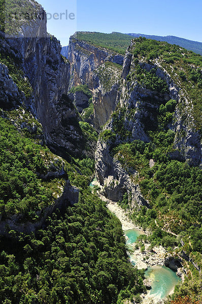Verdonschlucht  Gorges du Verdon  Alpes-de-Haute-Provence  Provence-Alpes-Côte d’'Azur  Frankreich
