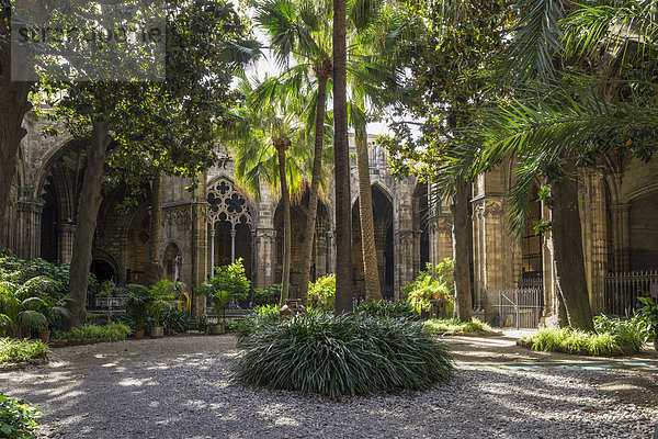 Innenhof der Kathedrale  El Barri Gòtic  Barcelona  Katalonien  Spanien