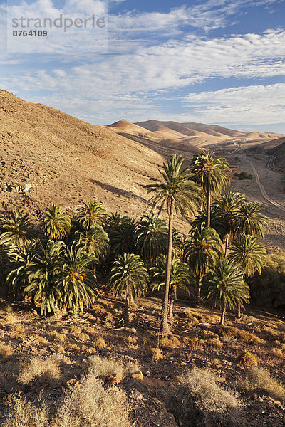 Landschaft Barranco de la Madre de Agua  bei Ajuy  Fuerteventura  Kanarische Inseln  Spanien