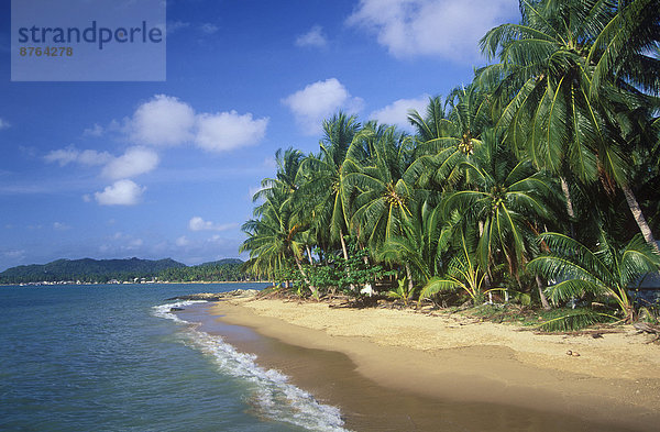 Palmenstrand  Lamai Beach  Insel Ko Samui  Thailand