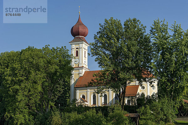 Filialkirche St. Peter und Paul mit Zwiebelturm  Kirchberg  Oberbayern  Bayern  Deutschland