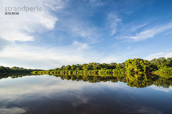 Bäume spiegeln sich in einem Fluss  Pantanal  UNESCO-Weltnaturerbe  Mato Grosso do Sul  Brasilien