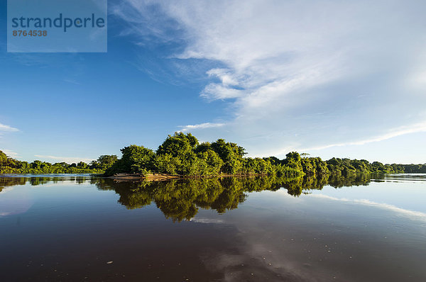 Bäume spiegeln sich in einem Fluss  Pantanal  UNESCO-Weltnaturerbe  Mato Grosso do Sul  Brasilien