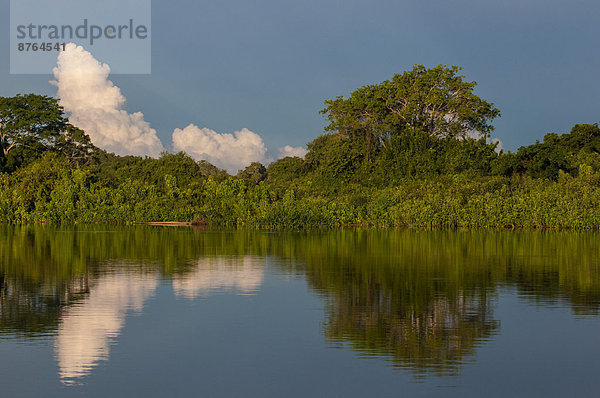 Bäume spiegeln sich in einem Fluss  Pantanal  UNESCO-Weltnaturerbe  Mato Grosso do Sul  Brasilien