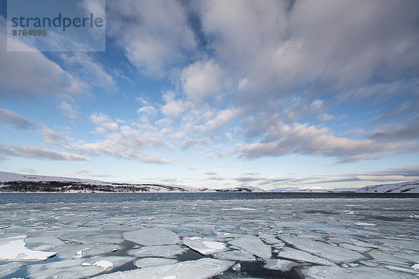 Barentsee  Fjord von Kirkenes  Kirkenes  Provinz Finnmark  Norwegen