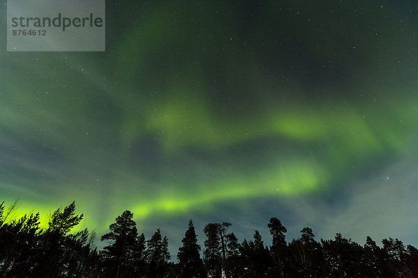 Polarlicht  bei Saariselkä  Finnland