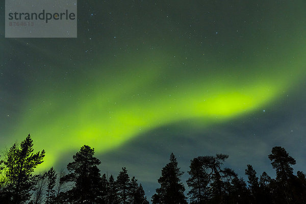 Polarlicht  bei Saariselkä  Finnland