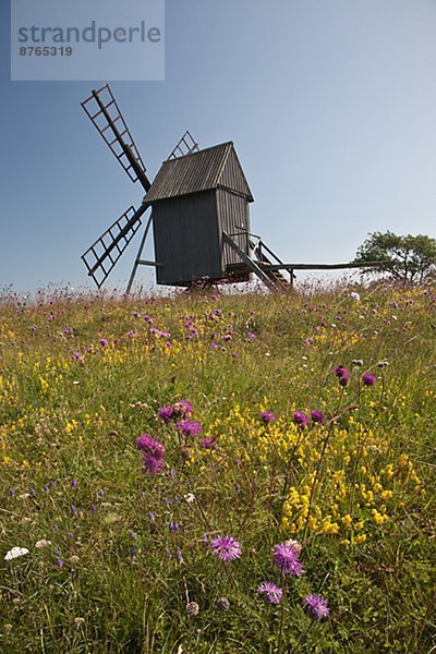 Windturbine  Windrad  Windräder  Öland  Schweden