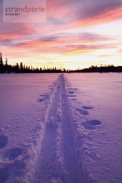 Lappland  Vittangi  Schweden