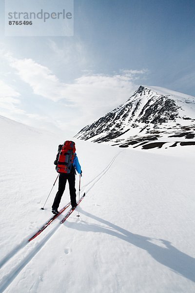 Lappland  Abisko  Schweden