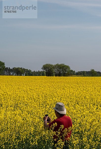 Mann  Fotografie  nehmen  Feld  Öland  Raps  Brassica napus  Schweden