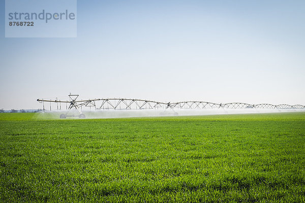 USA  Texas  Mobiles Bewässerungsrohrsystem für landwirtschaftliche Felder