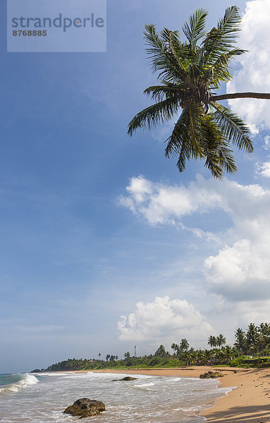 Sri Lanka  Galle  Strand bei Duwemodara