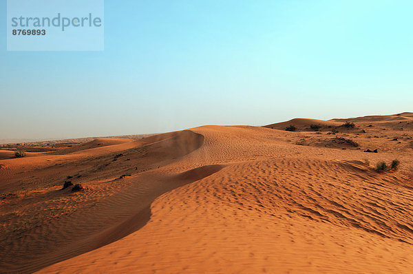 Wüste  Emirat Schardscha  Vereinigte Arabische Emirate