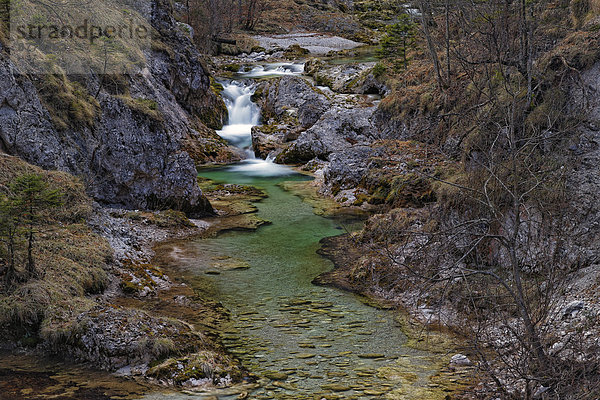 Österreich  Niederösterreich  Naturschutzgebiet Ötscher-Tormaeuer  Ötscherbach  Ötscher-Dampf
