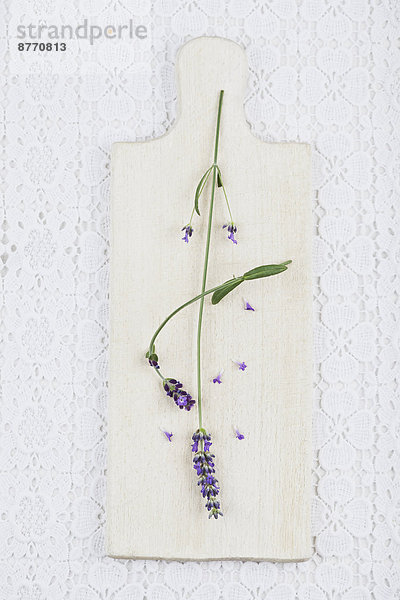 Lavendel (Lavendula) auf weißem Holzschneidebrett und weißer Tischdecke