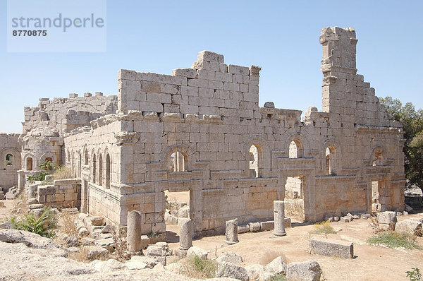 Ruinen der Kirche des Heiligen Simeon Stylites  Gouvernement Aleppo  Syrien