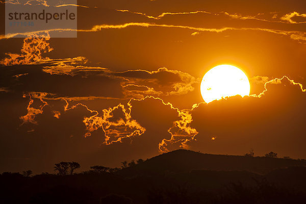 Sonnenuntergang mit Wolken über bewachsenen Dünen  Mata Mata  Kgalagadi-Transfrontier-Nationalpark  Südafrika
