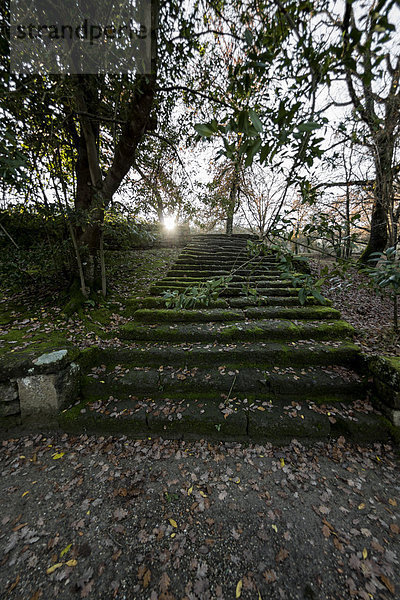 Italien  Rom  Treppe im Park