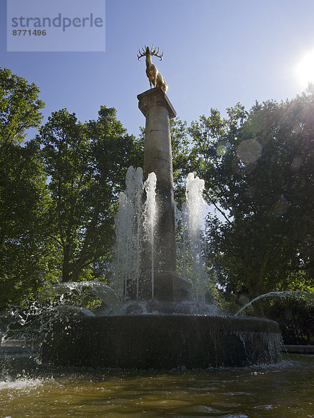 Deutschland  Berlin  Brunnen und Skulptur des goldenen Hirsches im Park in Berlin-Schöneberg